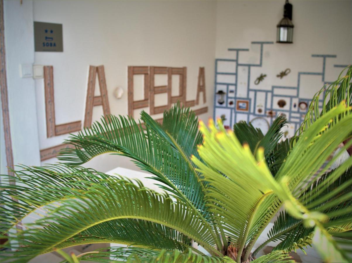 Aparthotel With Swimming Pool With Bathroom, Kitchen, Patio, Private Parking