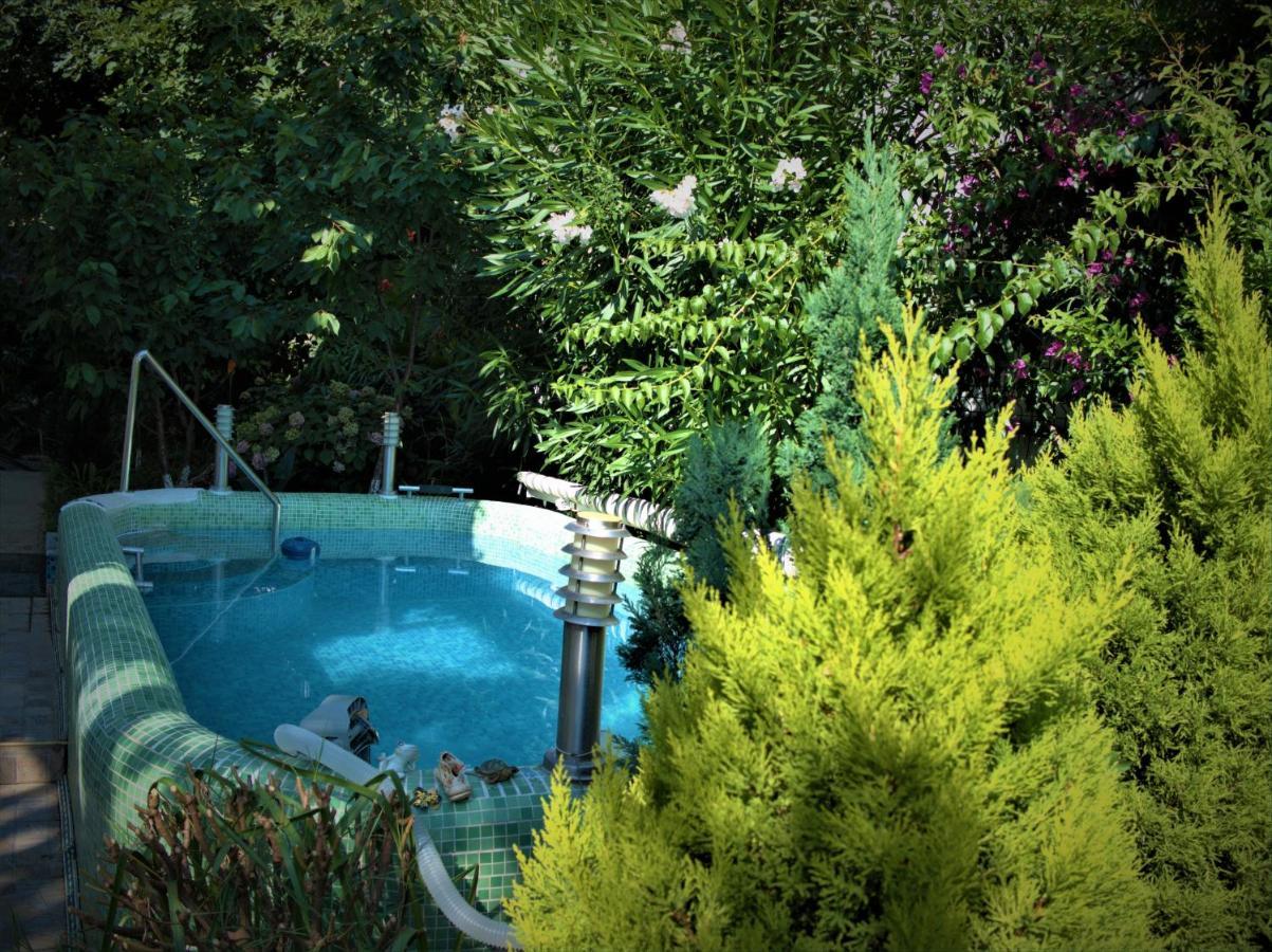 Aparthotel With Swimming Pool With Bathroom, Kitchen, Patio, Private Parking