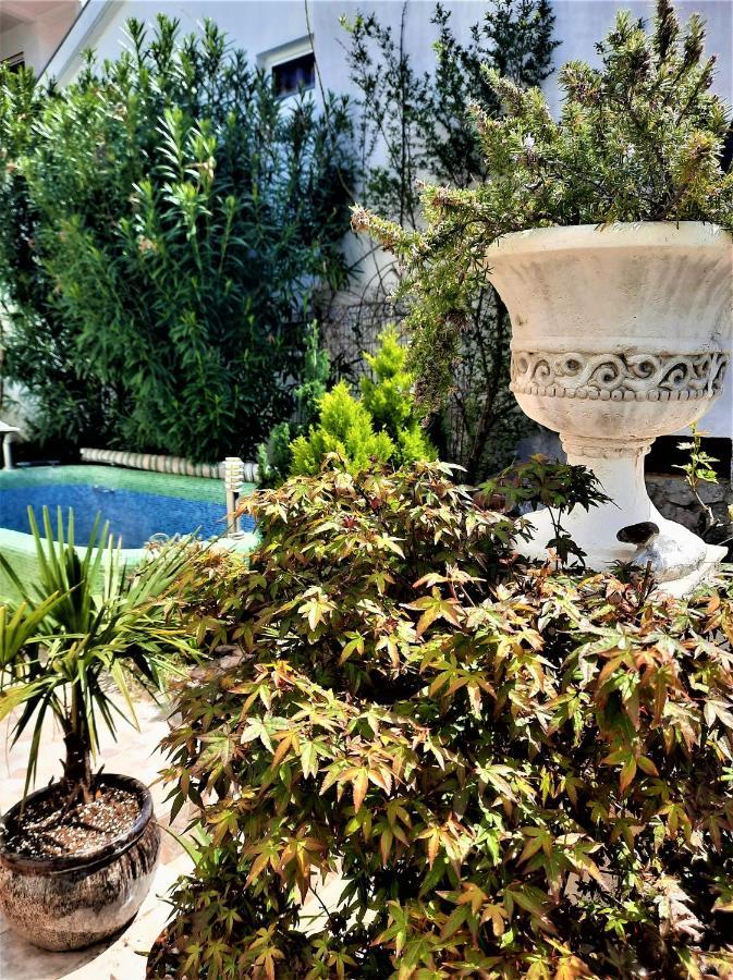 With Swimming Pool With Bathroom, Kitchen, Patio, Private Parking Aparthotel