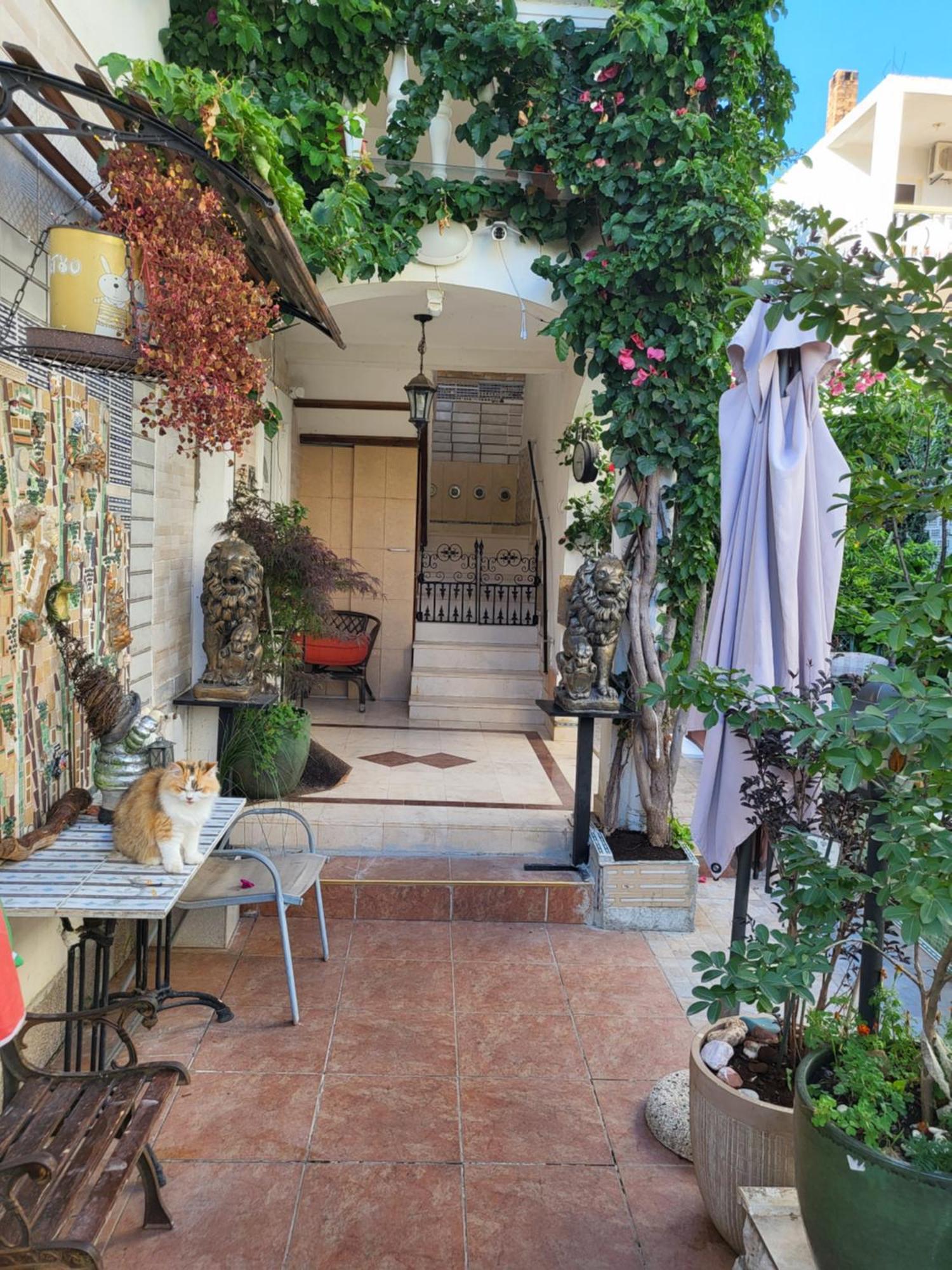 With Swimming Pool With Bathroom, Kitchen, Patio, Private Parking