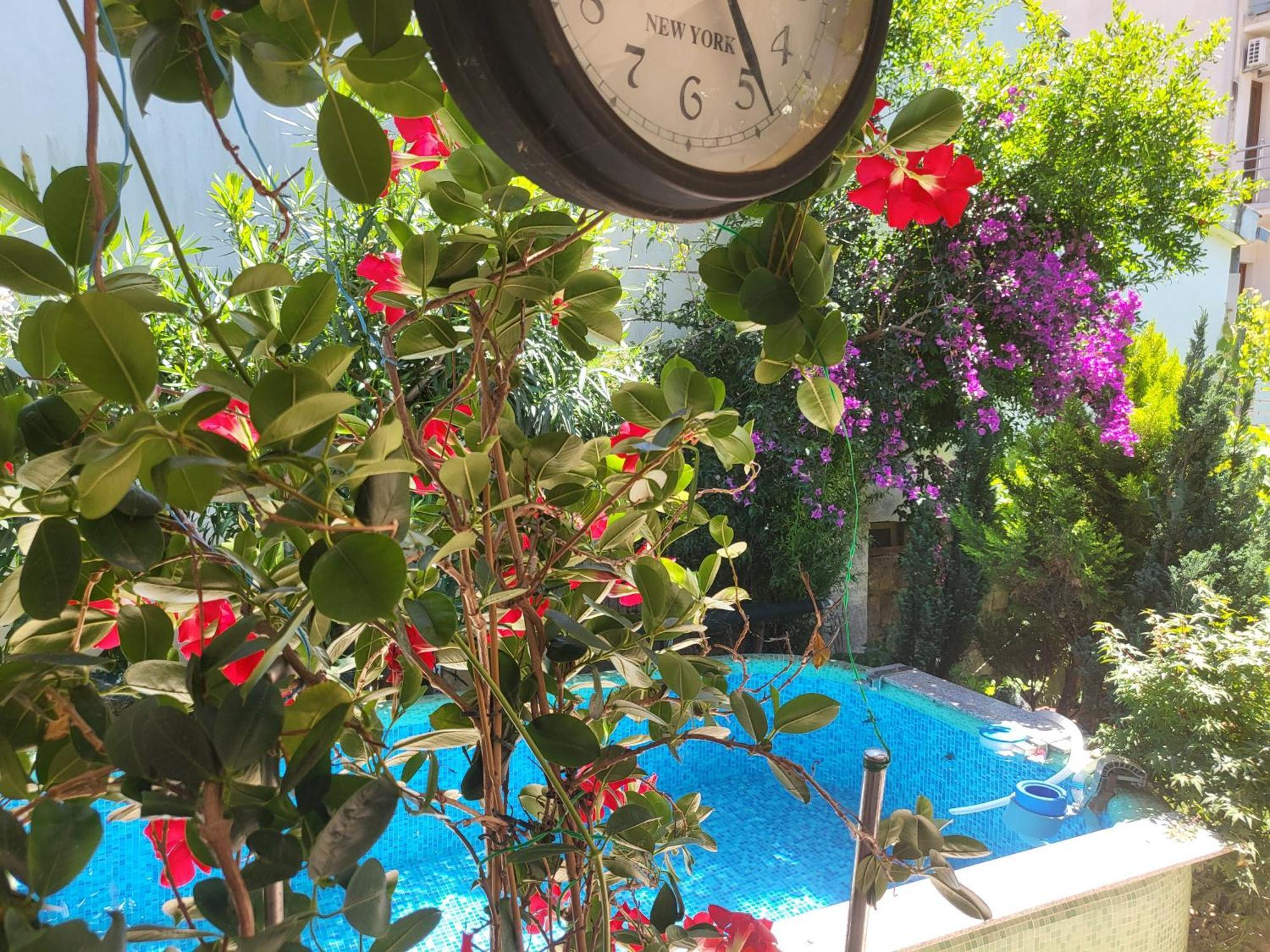 Aparthotel With Swimming Pool With Bathroom, Kitchen, Patio, Private Parking Budva