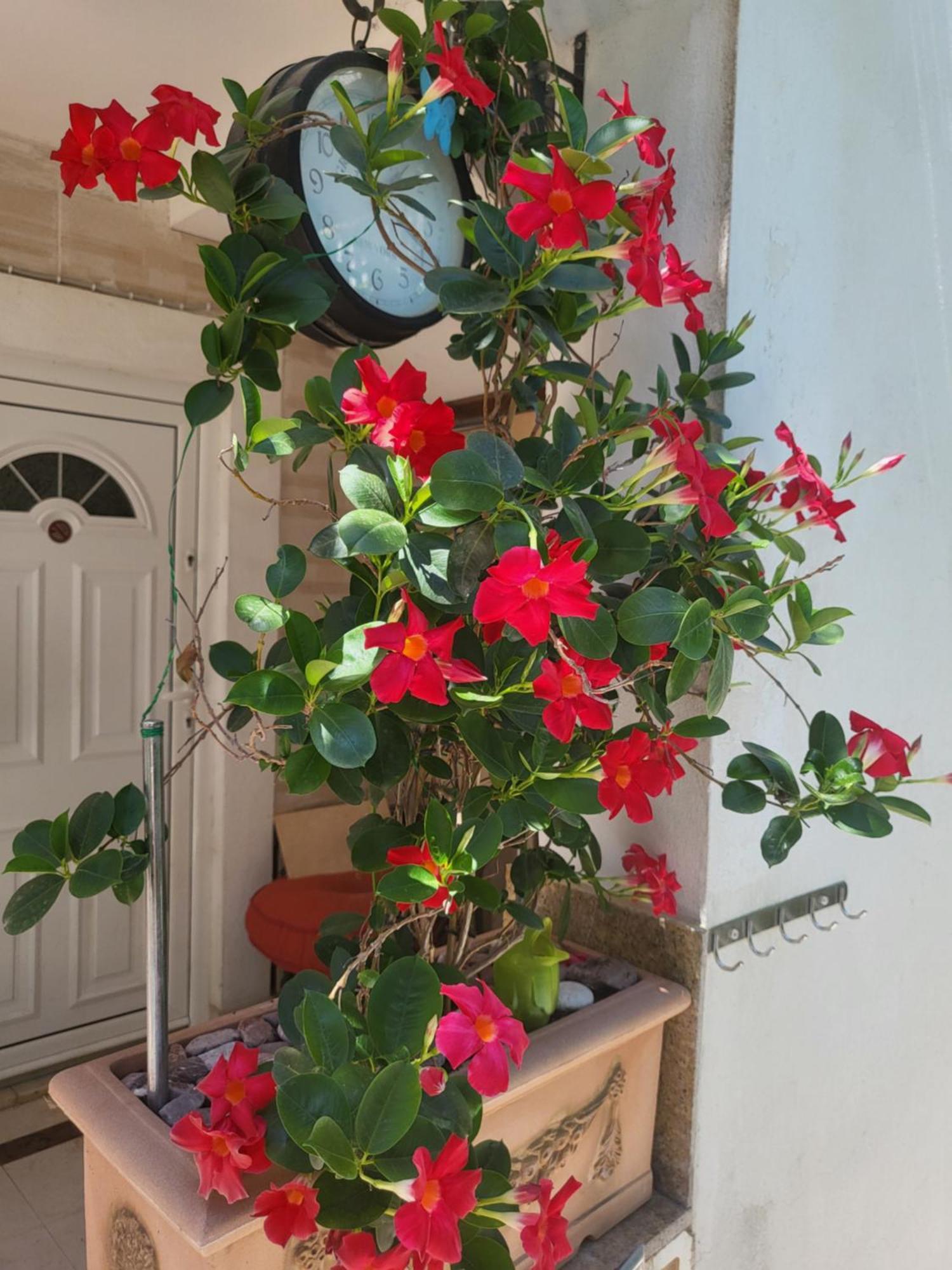 With Swimming Pool With Bathroom, Kitchen, Patio, Private Parking 2*