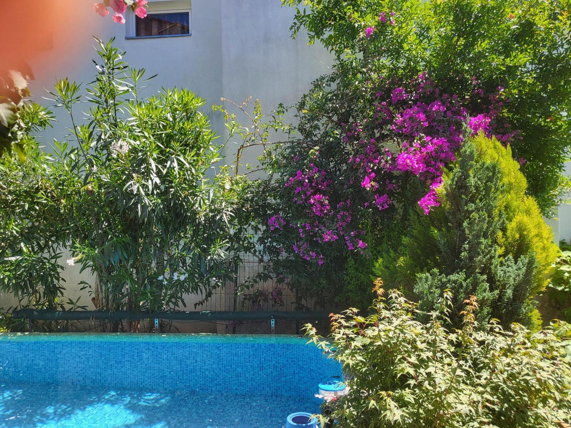 With Swimming Pool With Bathroom, Kitchen, Patio, Private Parking Aparthotel 2*