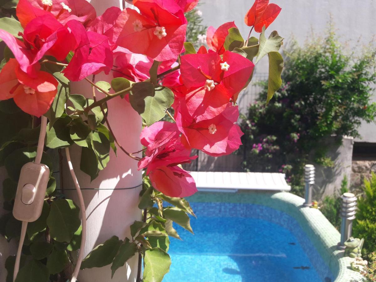 With Swimming Pool With Bathroom, Kitchen, Patio, Private Parking 2* Budva