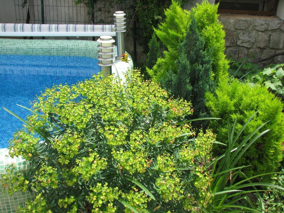 With Swimming Pool With Bathroom, Kitchen, Patio, Private Parking Aparthotel
