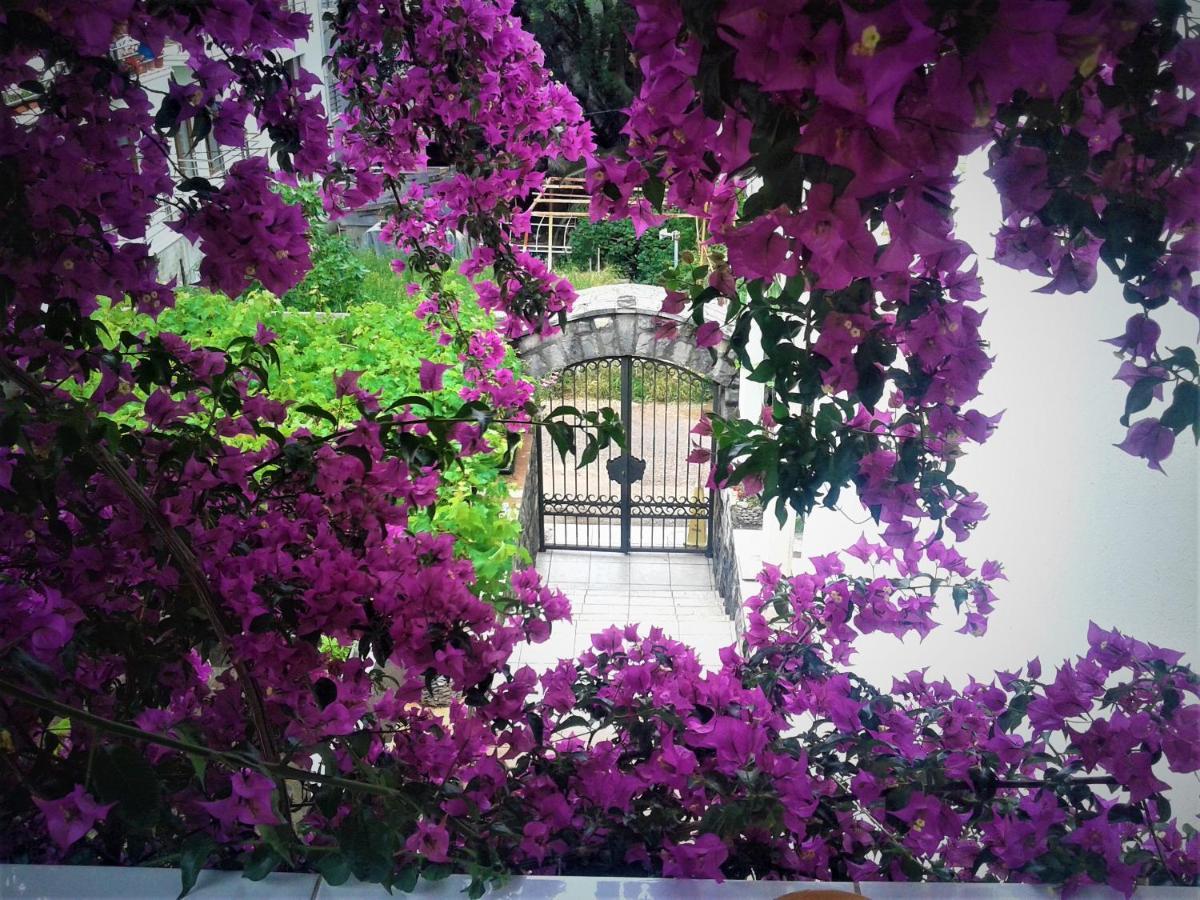 With Swimming Pool With Bathroom, Kitchen, Patio, Private Parking 2*