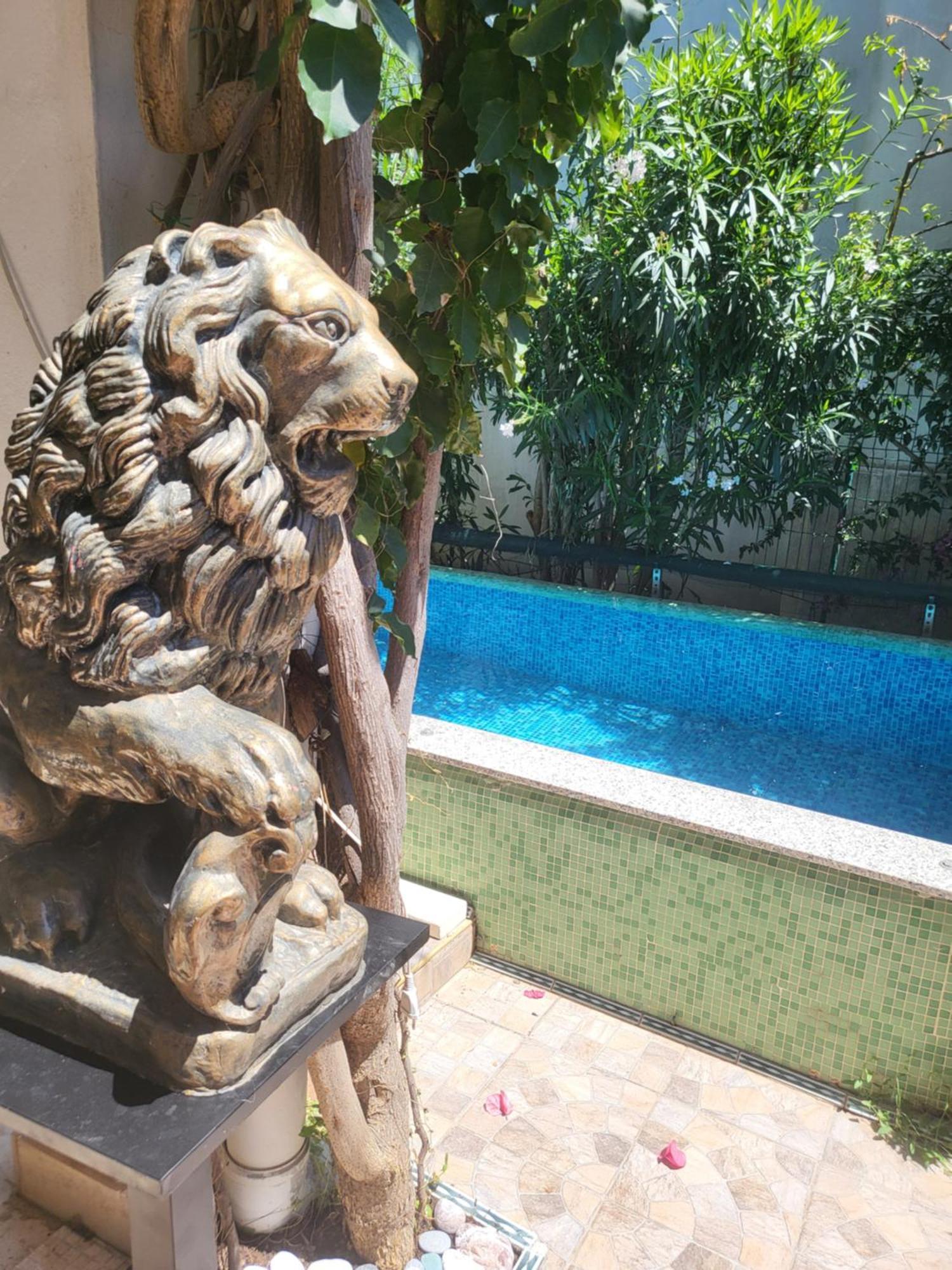 With Swimming Pool With Bathroom, Kitchen, Patio, Private Parking Budva